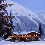 为什么有的人对宠物狗猫过敏，却对那些小宠物仓鼠，兔子等小宠物不过? 爱问知识人