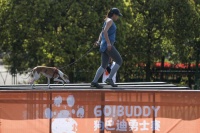 狗巴迪勇士赛上海站冠军谈挑战心得：互相鼓励克服困难