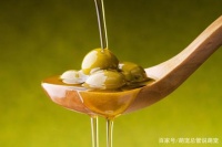 狗狗怎样才能吃得更健康，这些营养物质一样不能少