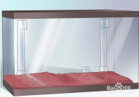 如何享受宠物鱼