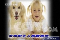 心理学家发现：宠物和主人相貌相似并非偶然