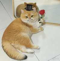 什么？你的宠物居然还学会了“读心术”！