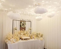 宠物可以火化吗，会不会有危害？