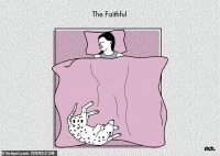 英宠物行为学家：萌宠与主人的10种主要同床睡姿，暗藏动物小心思