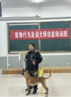 专业实训