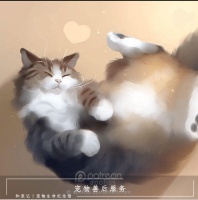 【图片】沈阳和宠记宠物生命纪念馆：宠物火化后，骨灰如何安置？