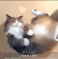 和宠记：宠物火化后，骨灰需要怎么安置？