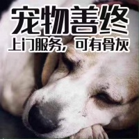 狗狗火化服务价格