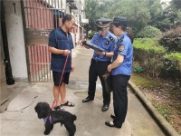 “雪纳瑞”今天不再流浪了！宁波海曙梅园社区宠物弃养现象令人深思