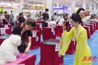 2024中部（长沙）宠博会开幕