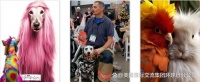 2025年美国奥兰多宠物用品展览会GLOBAL PET EXPO不可错过