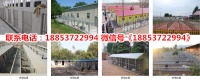 仁寿县宠物市场