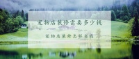 宠物店装修需要多少钱?宠物店装修怎样省钱?