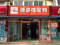 一步到位：开一家宠物店需要哪些准备和投入？