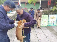 宠物疫苗进社区，免费给毛孩子上“保险”！