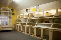 宠物疫苗的利润空间：购买渠道详解及创业加盟优势