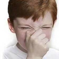 宠物口腔保健要重视，可别让“小问题”酿成“大危害”！