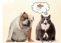 宠物行业催生新职业，90后从业者占一半 随着人们对宠物的钟爱，养宠物的人不断增多，宠物数量急剧增加，宠物市场已经成为新的经济增长点。随着市场的增长，除了宠物活体...