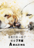 【狗粮OEM贴牌代工 鲜肉蔬菜配方 低盐低油 营养均衡易吸收】批发