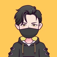 加菲猫的健康选择：均衡营养猫粮与Wellness宠物健康【睿哲进口宠物用品吧】