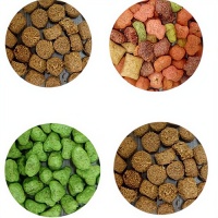 营养均衡，市场广阔，宠物食品创业正当时！