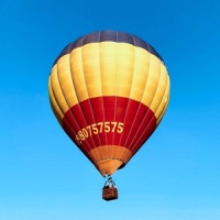 爱宠总动员，给爱犬健康体魄，美毛去泪痕,好狗粮必须是营养均衡，科学比例对于狗狗们来说，狗粮绝对是狗生中不可缺少的一部分【大理宠物吧】