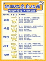 猫咪体态检查表｜肥嘟嘟or瘦小小，摸摸就知