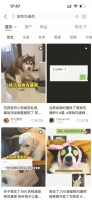 通过照片就能和宠物对话？“宠物沟通师”的读心术有点玄 西安新闻网