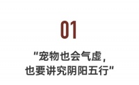 不婚不育的年轻人，砸出5000亿级的大市场