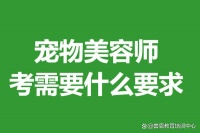 宠物美容师证书查询系统 考宠物美容师证需要什么要求