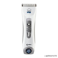 如何选择合适的狗狗剃毛器？权威测评告诉你三个关键点