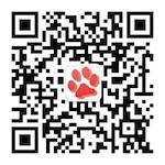 引起犬猫皮肤瘙痒的常见原因