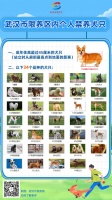 @湖北人 关于养犬，这些法规你需要了解！