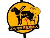 多数酒店不允许带导盲犬入住 法律无规定
