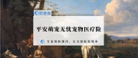 平安萌宠无忧宠物医疗险，宠物保险强势上新！