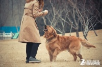 宠物摄影有什么技巧吗？