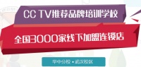 宠物美容加训犬师培训