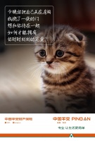 走向宠物健康管理最前沿 平安产险推出平安爱宠医保计划