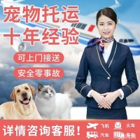 肇东宠物寄养电话