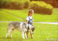 针对成犬的社交化培养策略：给你的宠物一个快乐的世界！