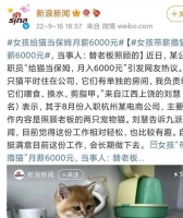 又想骗我辞职！月薪6000上班只需要撸猫？