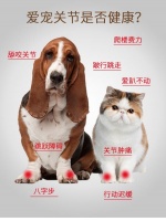 对宠物的关节比较好的保健品是那种