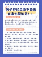 狗子神经炎要不要慌在家也能治愈！