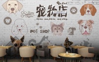 宠物店加盟哪个品牌好 十大品牌排名推荐