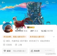 狗狗牵引绳怎么选/大型犬牵引绳分享