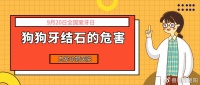 宠物牙结石的致命危害！