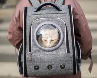 自己洁一次牙200块，猫洁一次牙2000块，火爆的宠物洁牙是在交智商税吗？