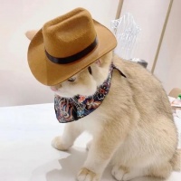 猫咪新潮流！西部牛仔帽来袭，宠物界的时尚达人就是你！