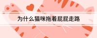 为什么猫咪拖着屁屁走路