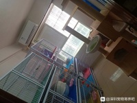 本人从事宠物医疗工作多年！猫咪交给我，你能安心过10.1！ 寄养家庭情况：两室一厅一阳台（都有窗户，通风好【深圳宠物寄养吧】